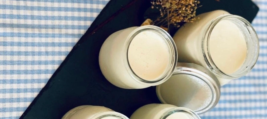 YOGUR NATURAL EN VAROMA CON THERMOMIX